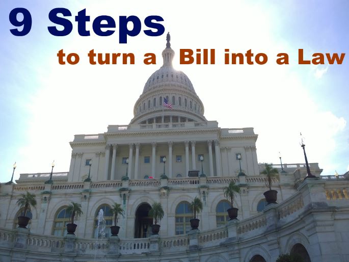 9 steps to turn a Bill into a Law