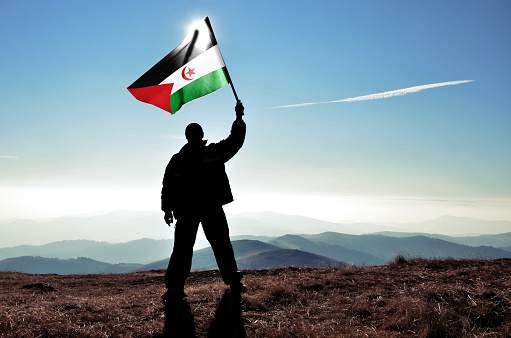 Silhouette man waving Western Sahara flag on top of the mountain peak. Picture Credits: Zefart